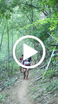 BIB:  <button type="button" onclick="openModal(28039809)" class="btn btn-primary btn-sm float-right" data-toggle="modal" data-target=".modal-high-quality">
                <i class="fa fa-download"></i> Download
                </button>